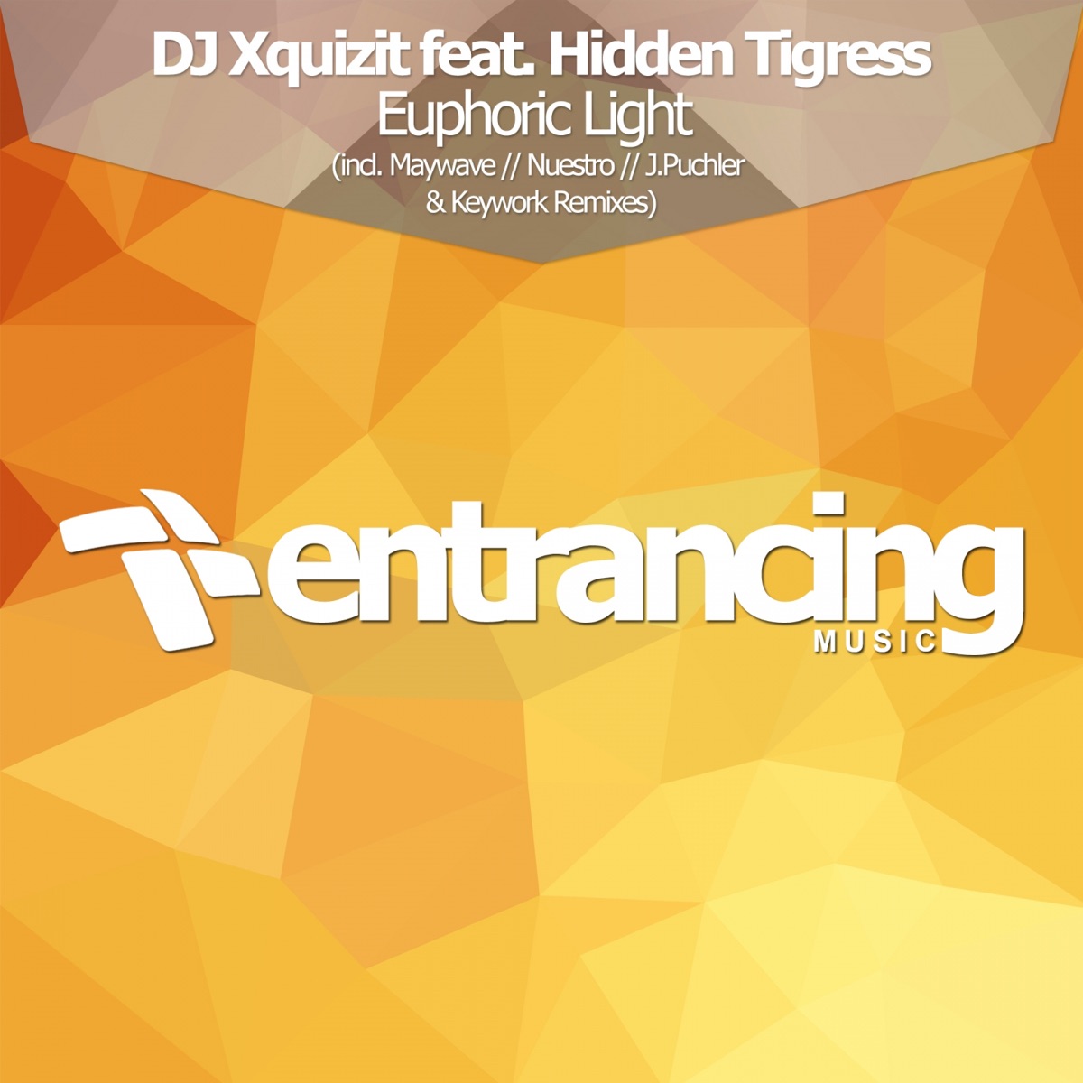 Euphoric Light (feat. Hidden Tigress) - EP by DJ Xquizit album cover