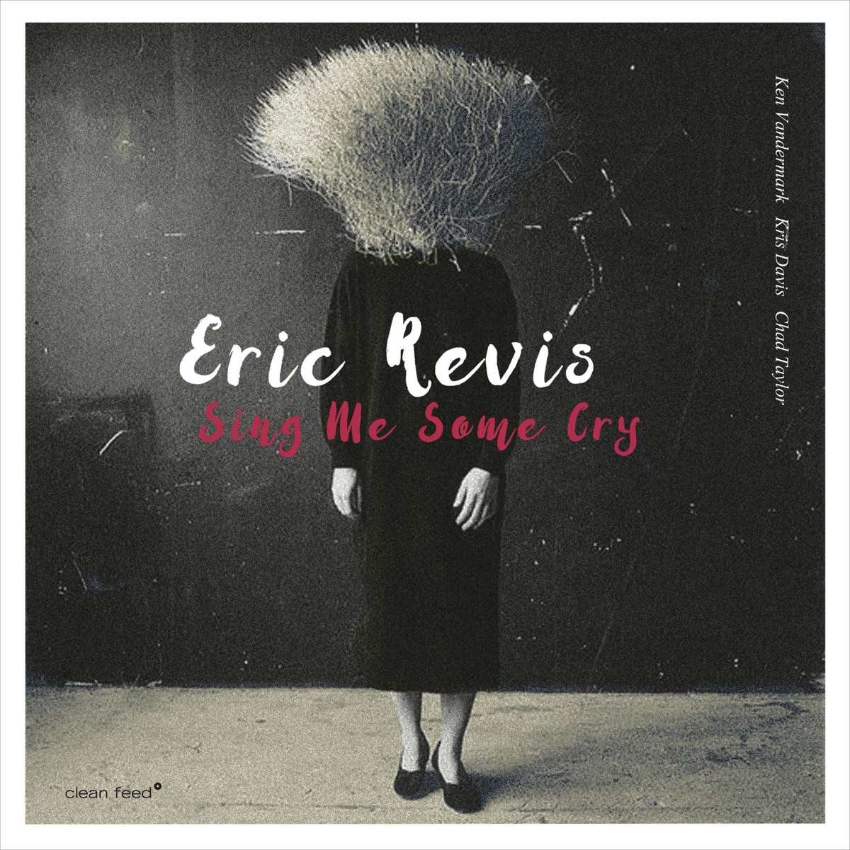 Sing Me Some Cry (feat. Ken Vandermark, Kris Davis & Chad Taylor) by Eric Revis album cover