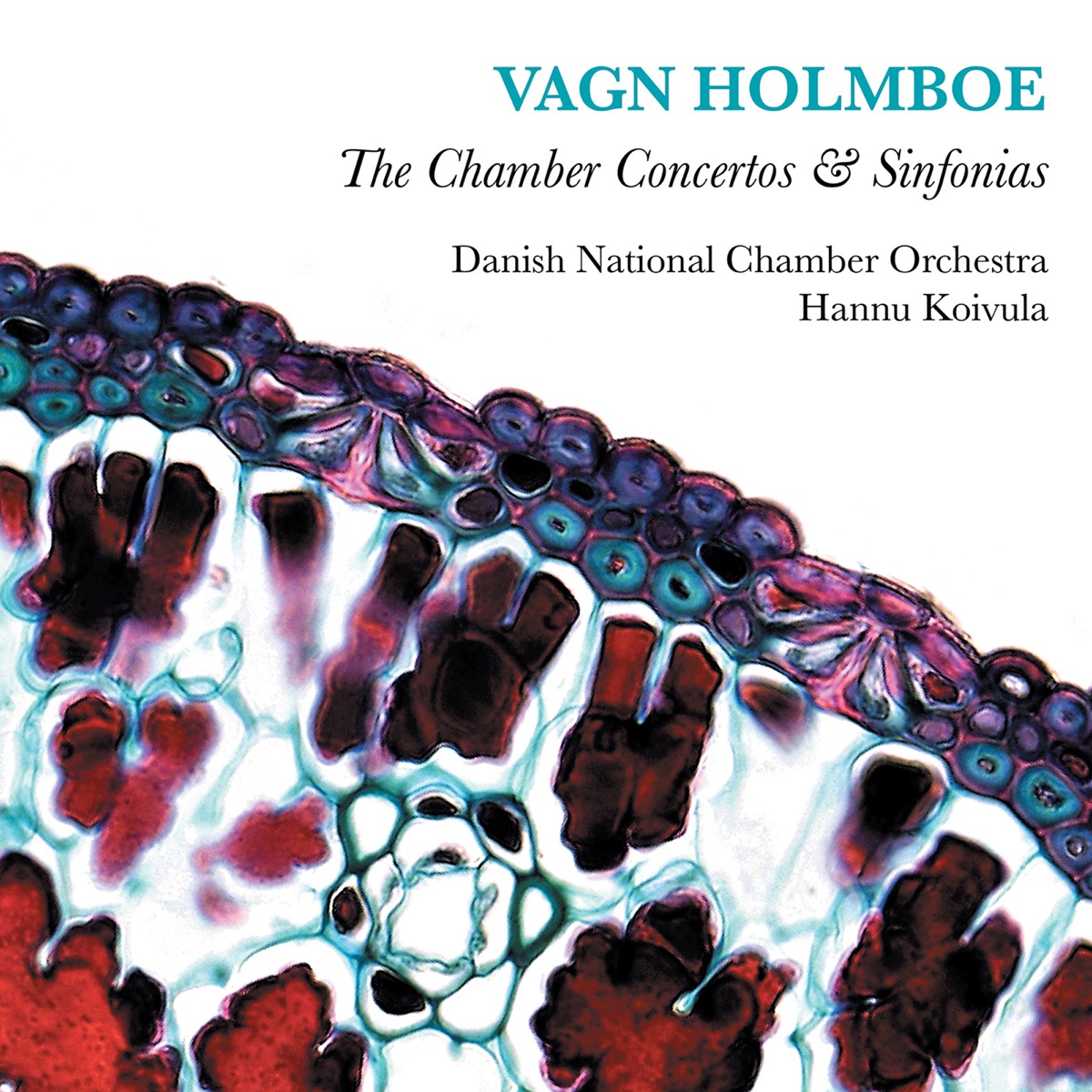 Holmboe: The Chamber Concertos & Sinfonias by Danish National Chamber Orchestra & Hannu Koivula album cover