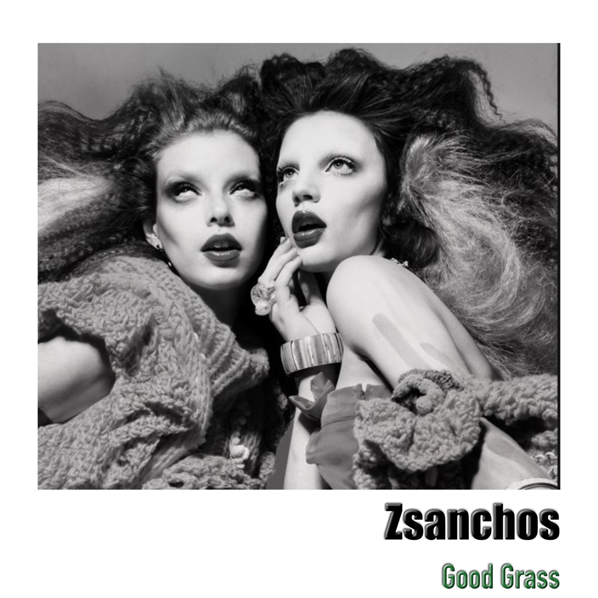 Good Grass - Single by Zsanchos album cover