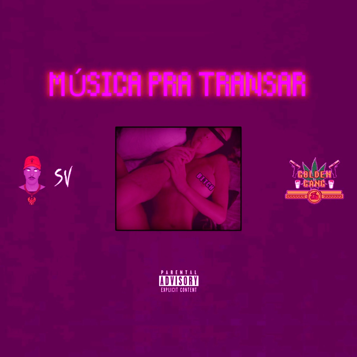Música pra Transar - Single by SV album cover