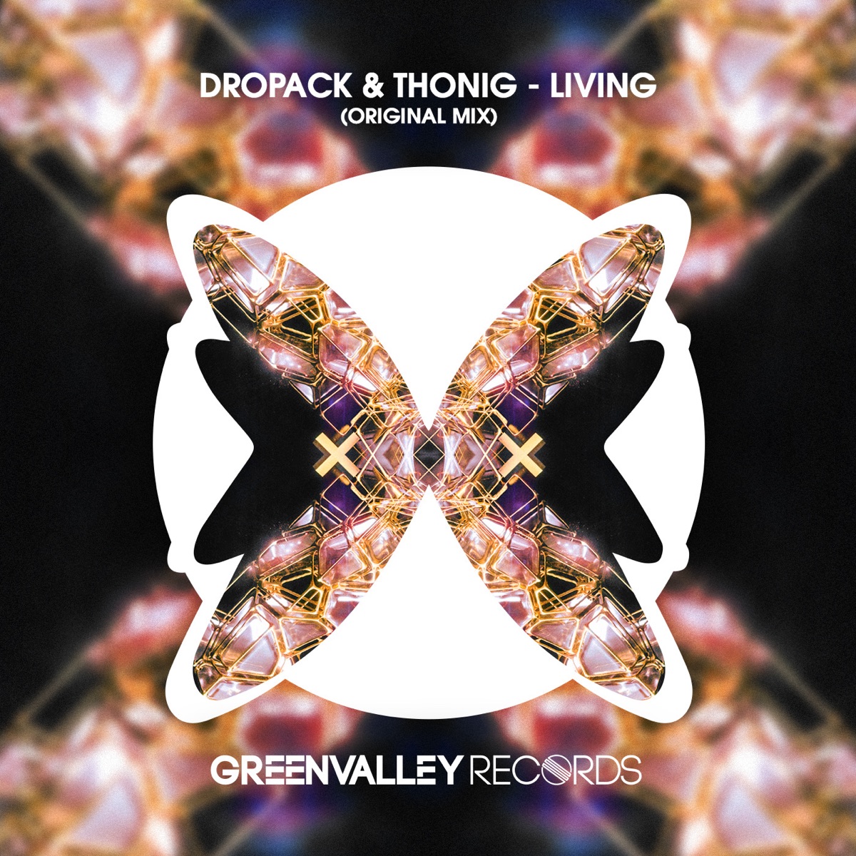 Living - Single by Dropack & Thonig album cover