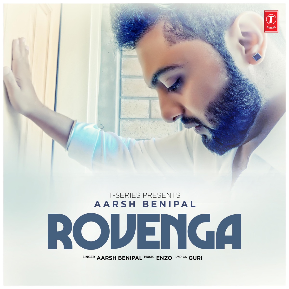 Rovenga - Single by Aarsh Benipal & Enzo album cover