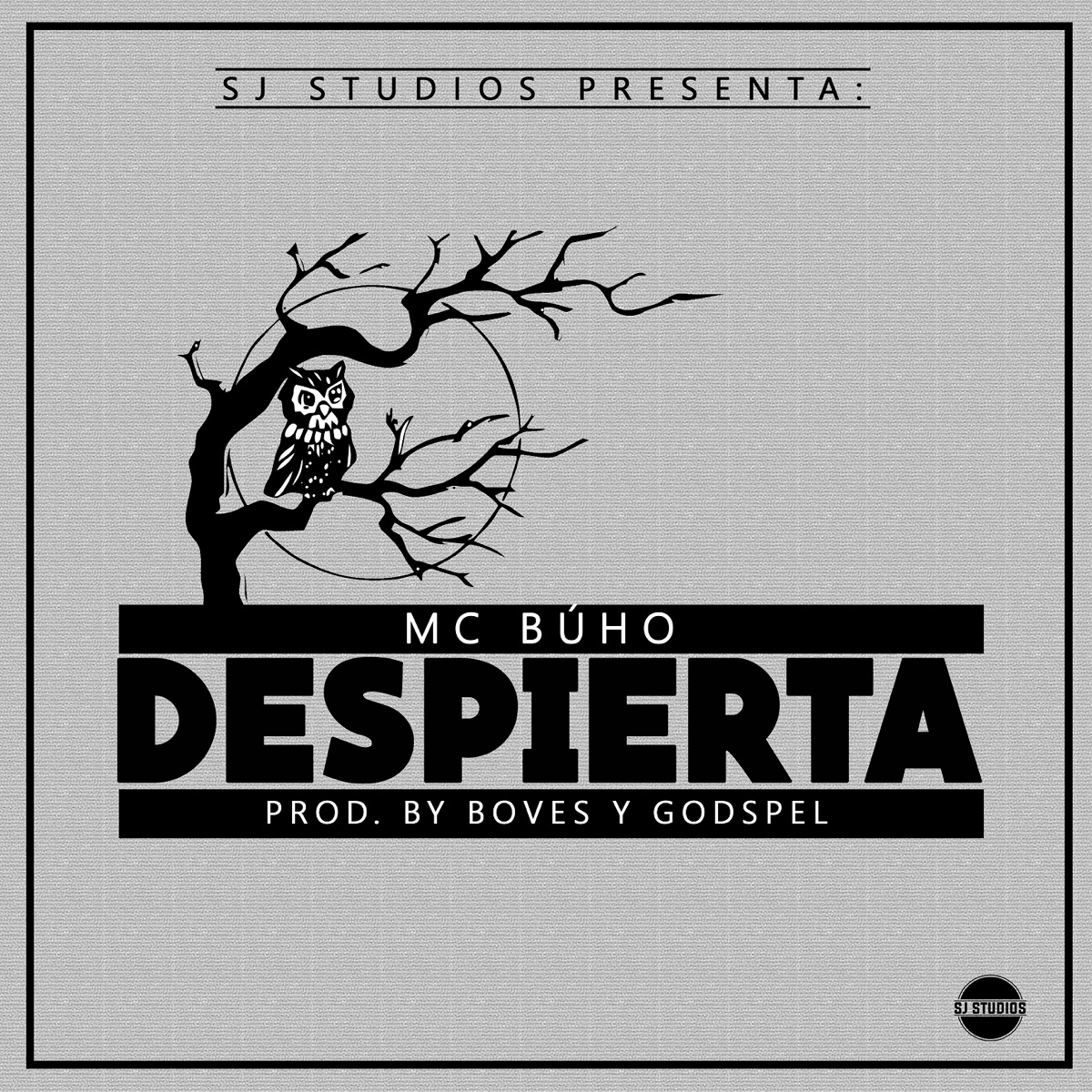 Despierta - Single by MC Búho album cover