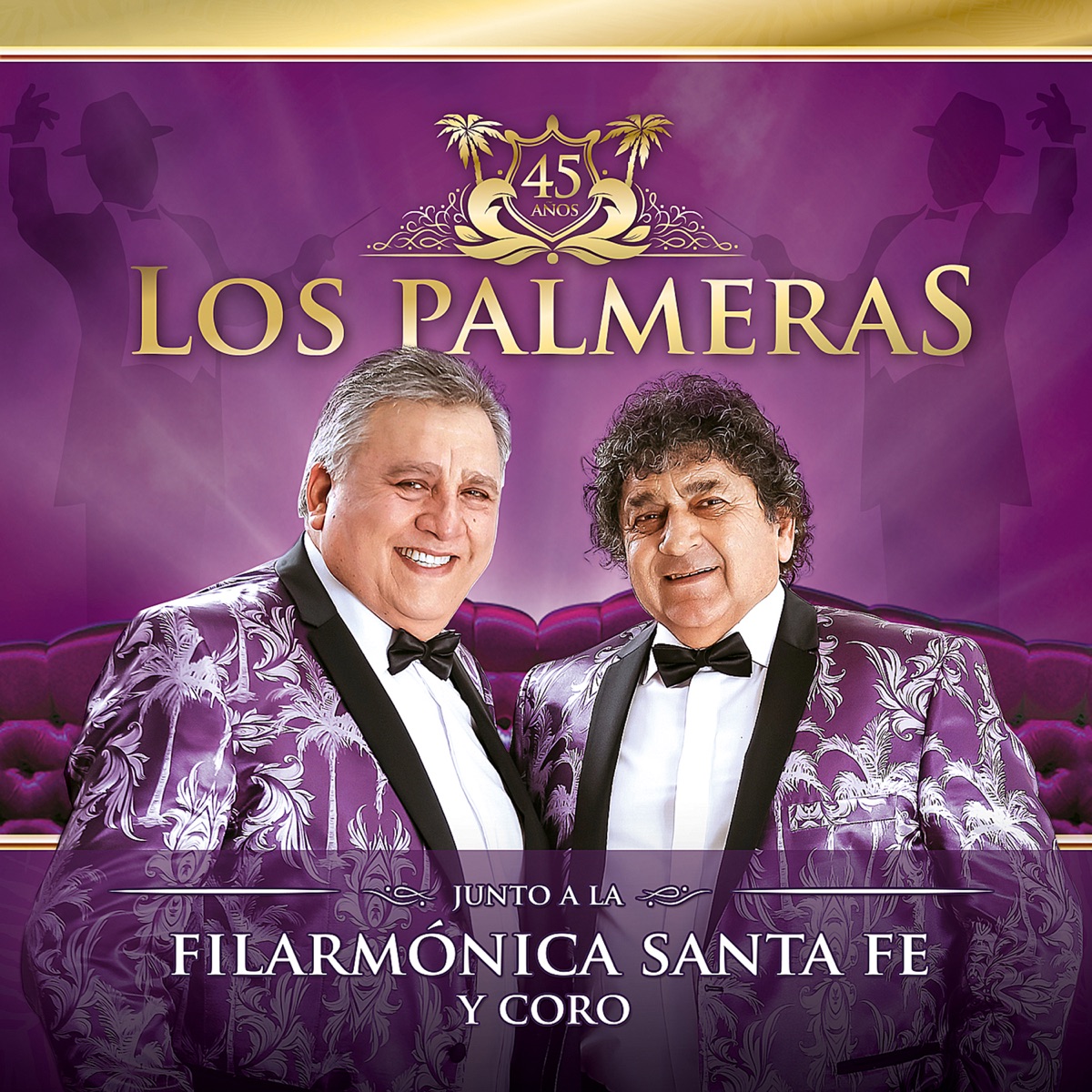 Sinfónico 45 Años - (En Vivo junto a la Filarmónica de Santa Fe) by Los Palmeras album cover