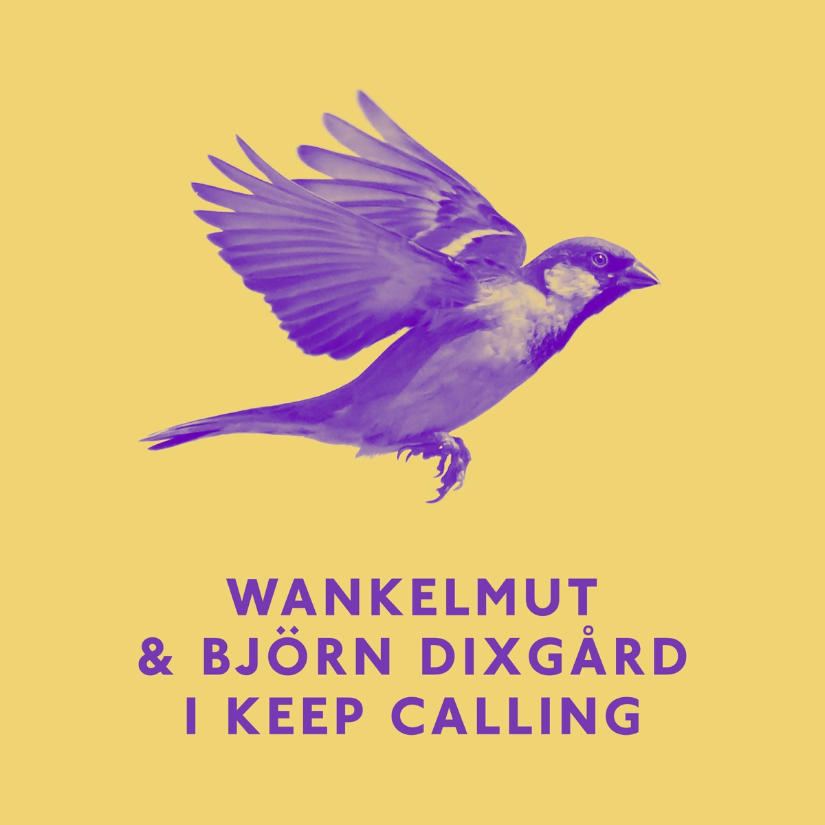 I Keep Calling - Single by Wankelmut & Björn Dixgård album cover