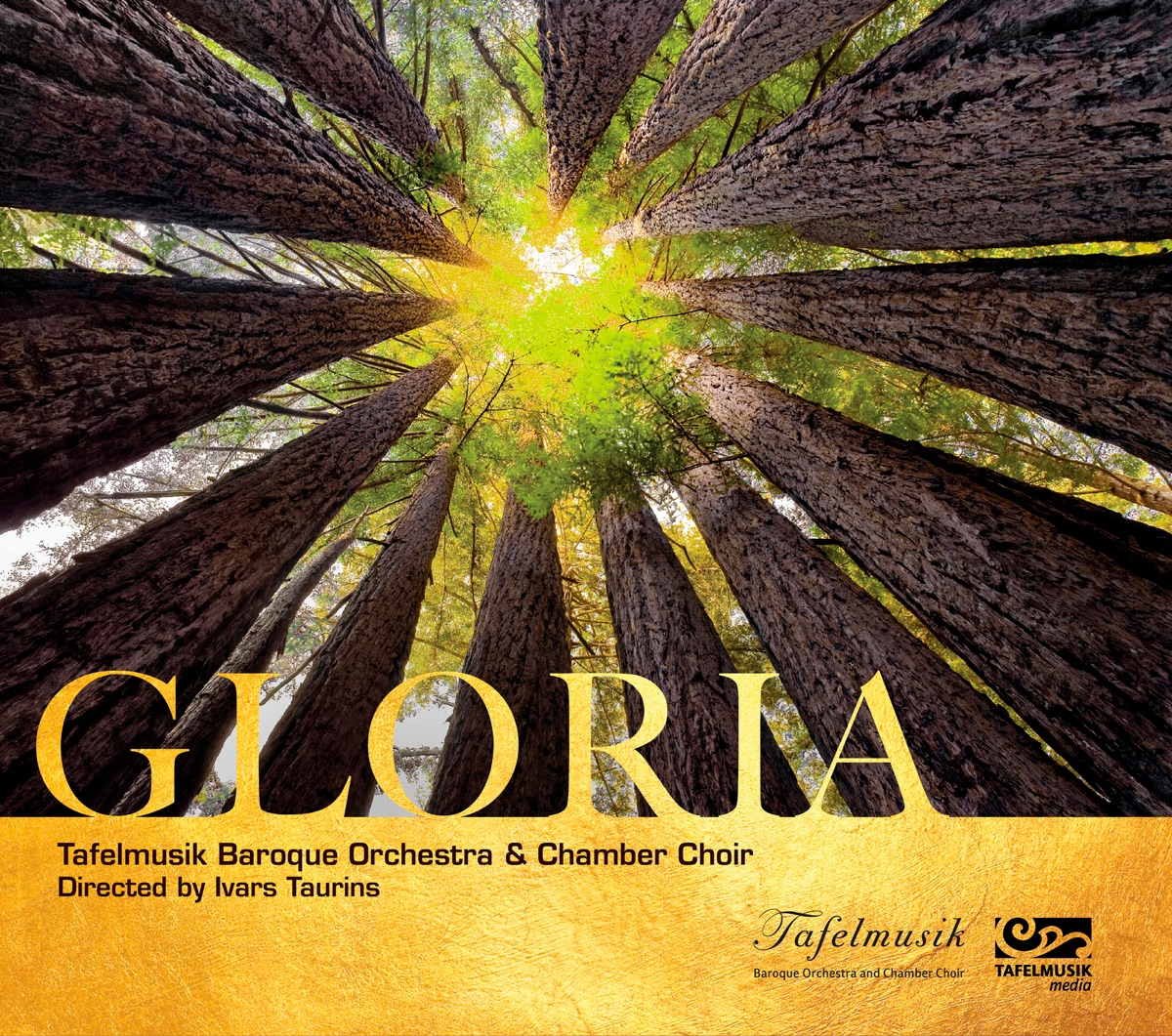 Gloria by Tafelmusik, Ivars Taurins & Tafelmusik Chamber Choir album cover