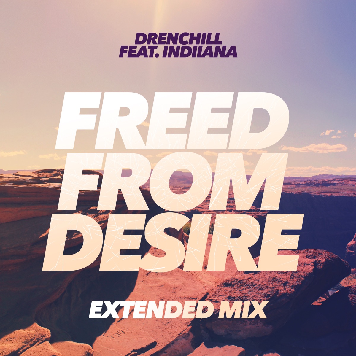 Freed from Desire (feat. Indiiana) [Extended Mix] - Single by Drenchill album cover