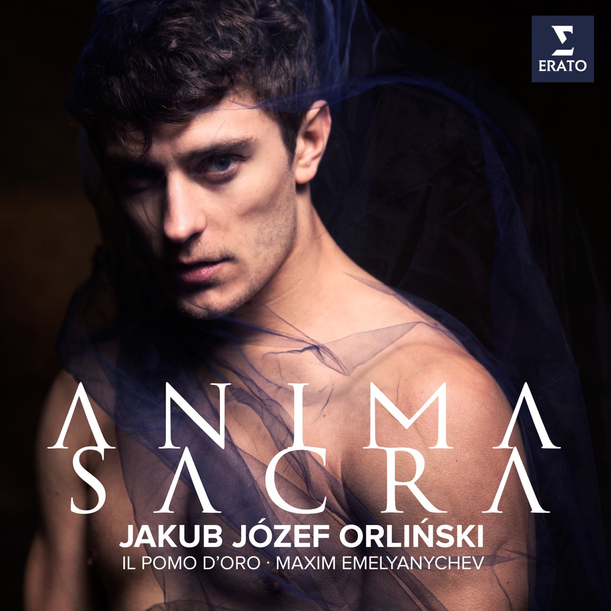 Anima Sacra by Jakub Józef Orliński, Maxim Emelyanychev & Il Pomo d'Oro album cover