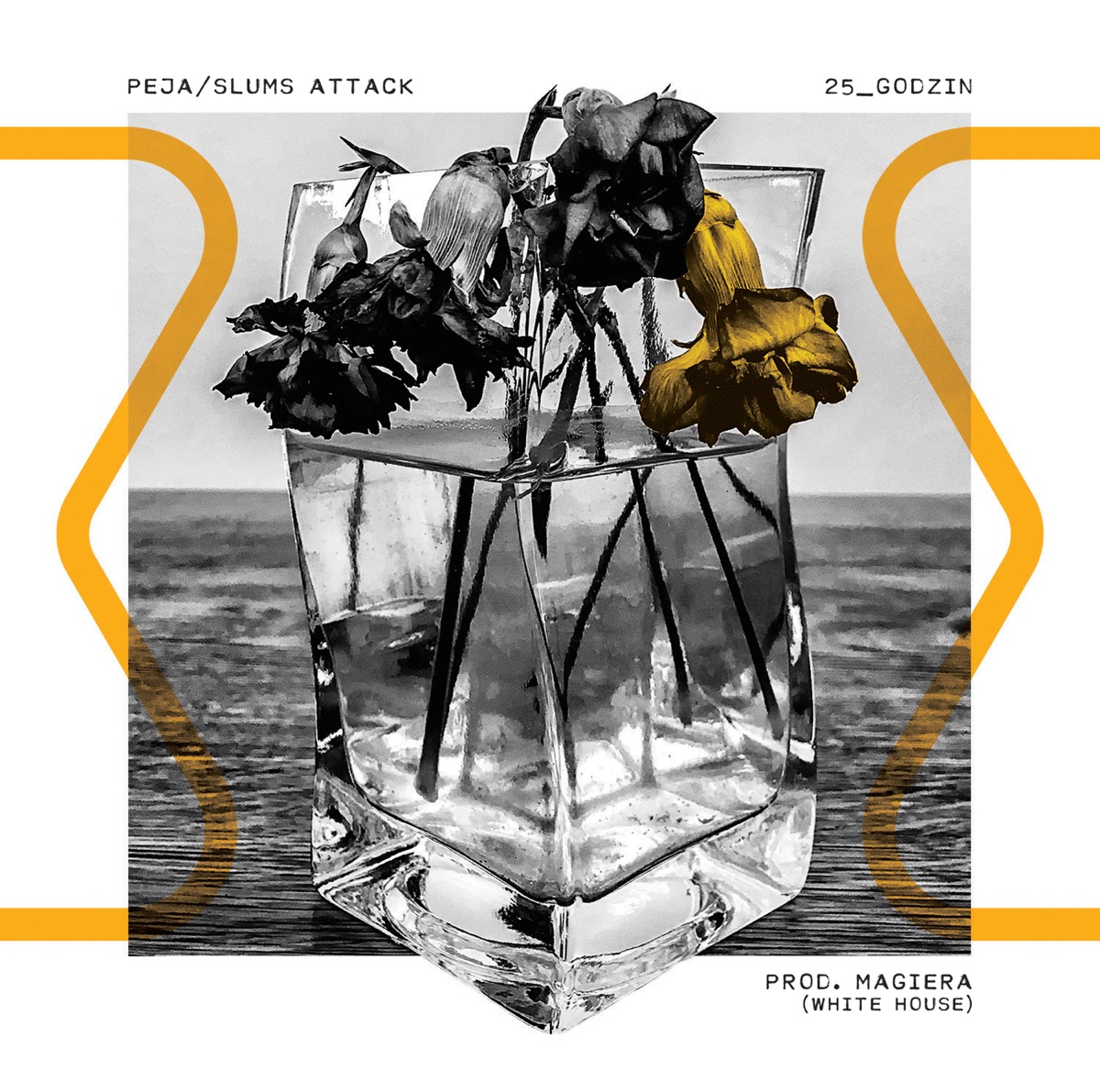 25_Godzin by Peja Slums Attack album cover