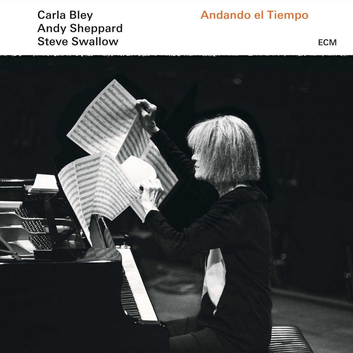 Andando El Tiempo by Carla Bley, Steve Swallow & Andy Sheppard album cover