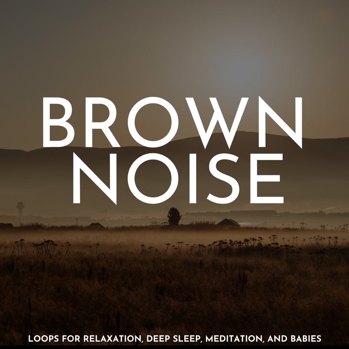 Brown Noise: Loops for Relaxation, Deep Sleep, Meditation, And Babies by SleepTherapy album cover