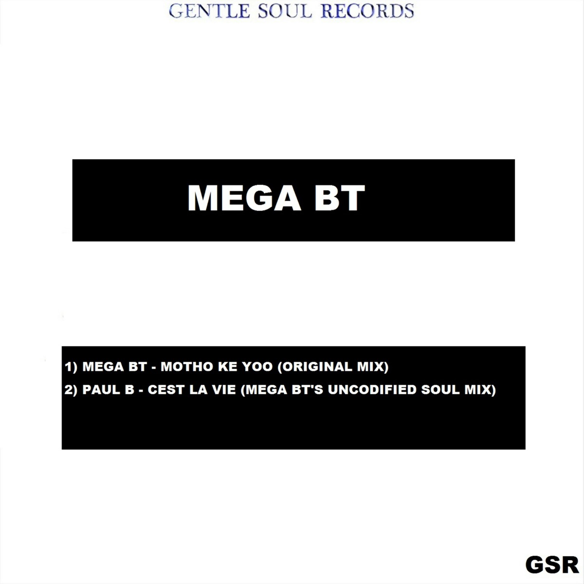 Motho Ke Yoo - Single by Mega BT album cover