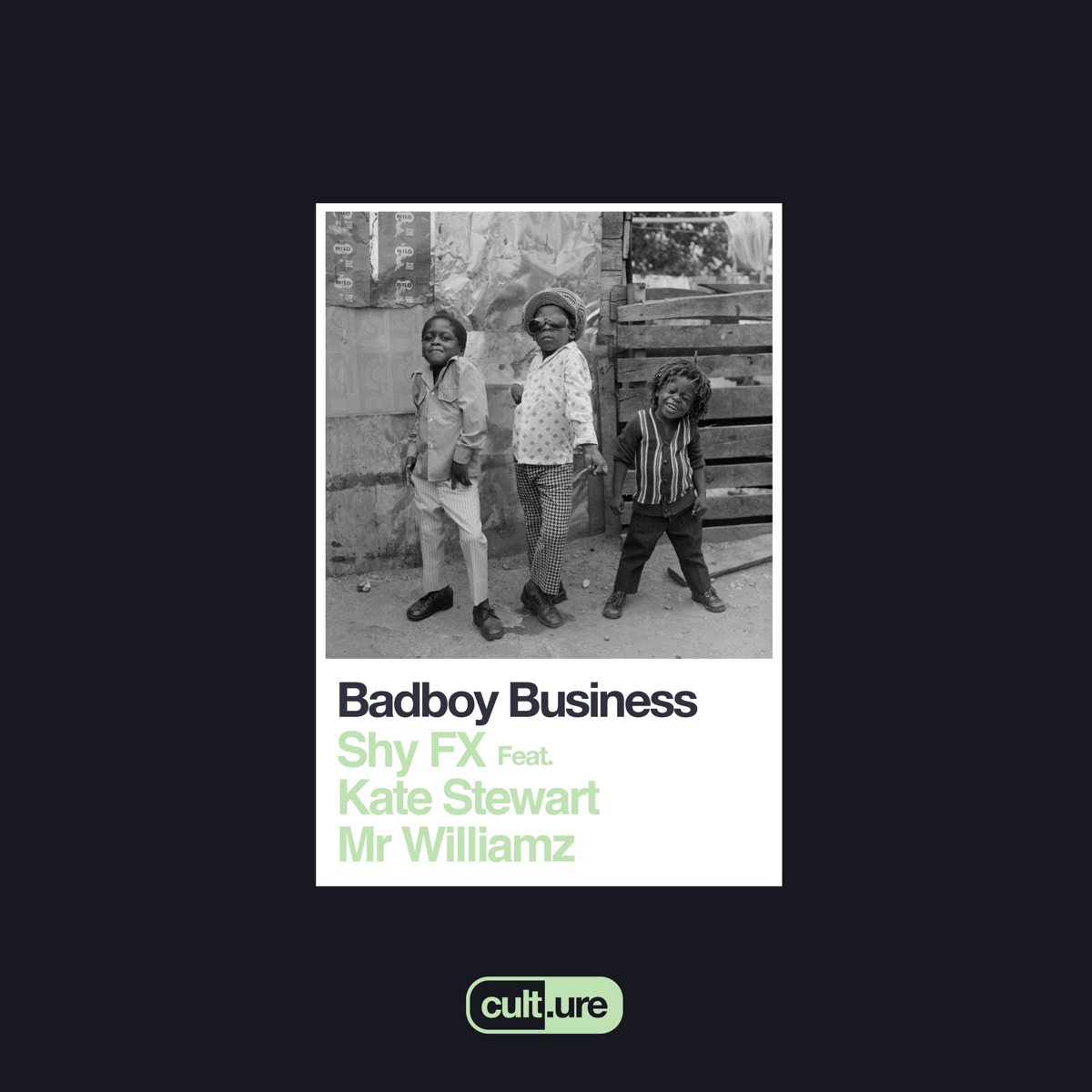 Badboy Business (feat. Kate Stewart and Mr Williamz) - Single by Shy FX album cover