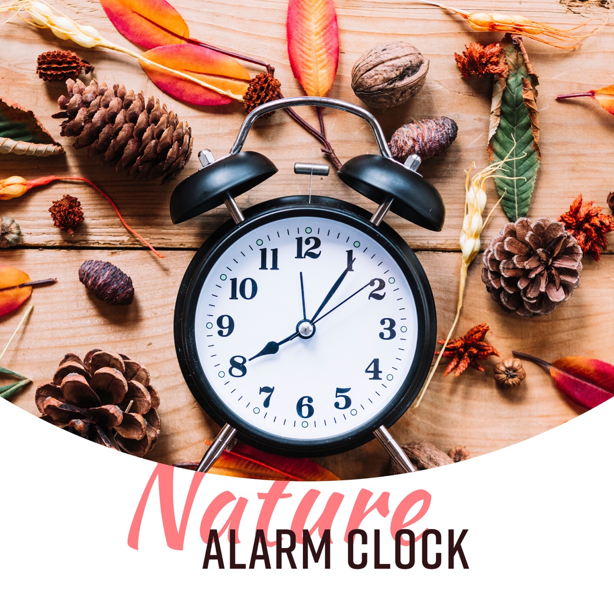 Nature Alarm Clock: Wake Up Sounds, Gentle Awakening & Happy Morning by Sound Effects Zone album cover