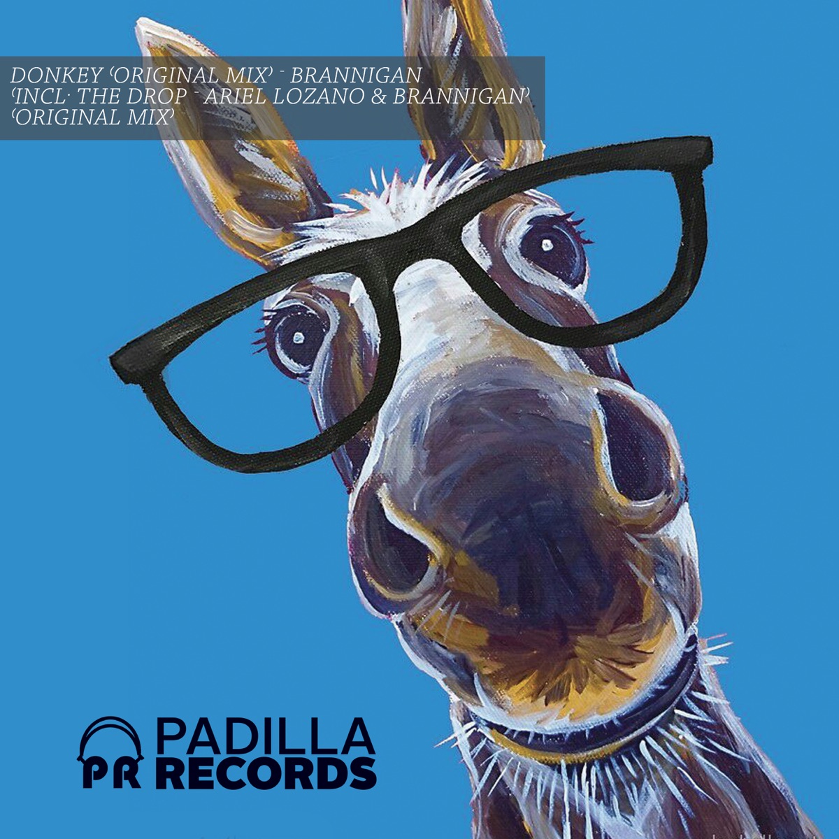 Donkey - Single by Brannigan & Ariel Lozano album cover