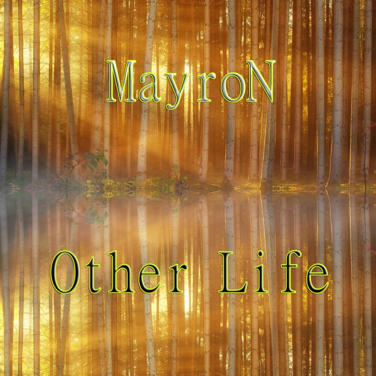 Other Life (Emotional Mix) - EP by MayroN album cover