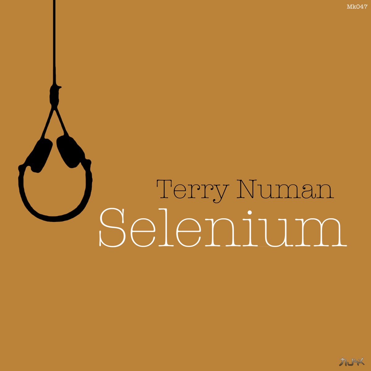 Selenium - Single by Terry Numan album cover