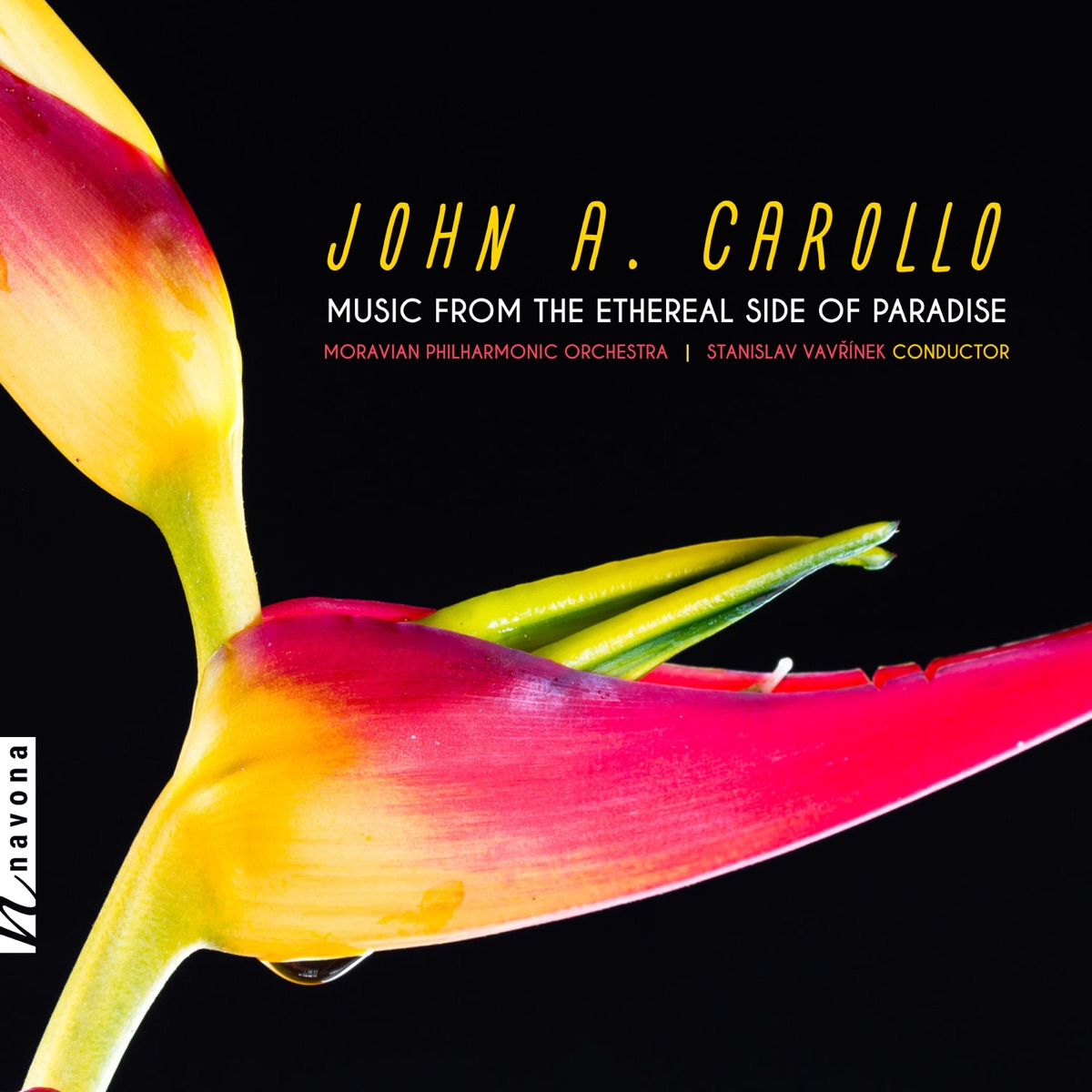 John A. Carollo: Music from the Ethereal Side of Paradise by Moravian Philharmonic Orchestra & Stanislav Vavřínek album cover