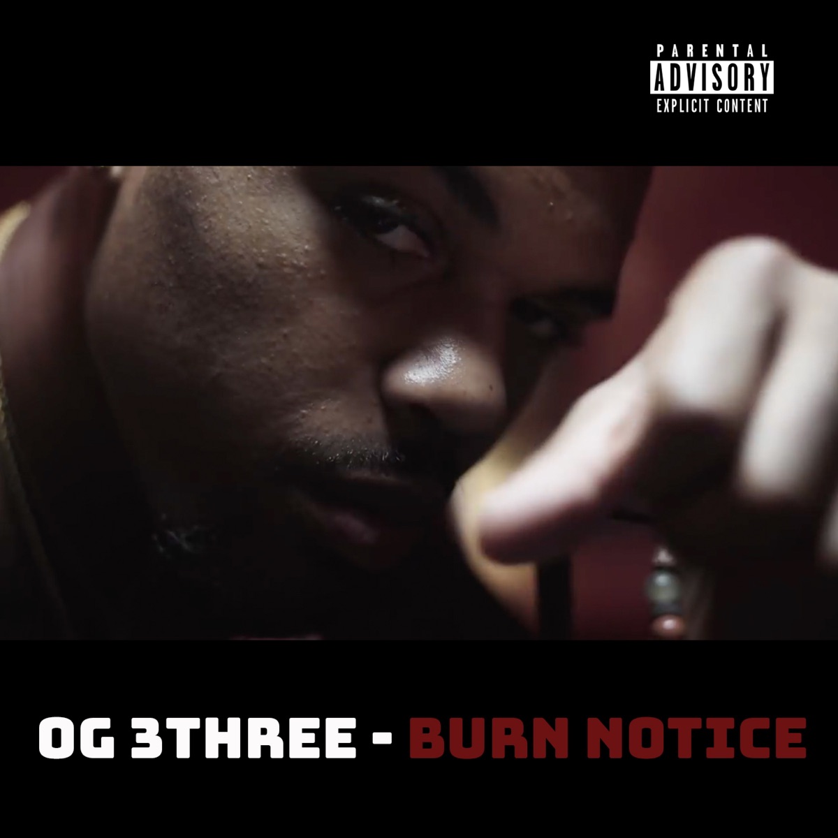 Burn Notice - Single by OG 3Three album cover