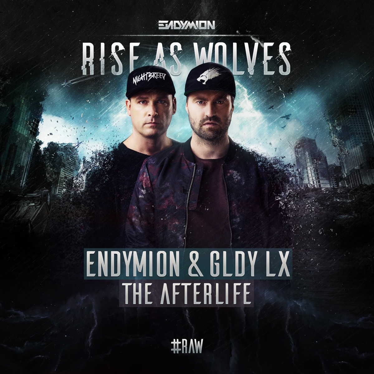 The Afterlife - Single by Endymion & GLDY LX album cover
