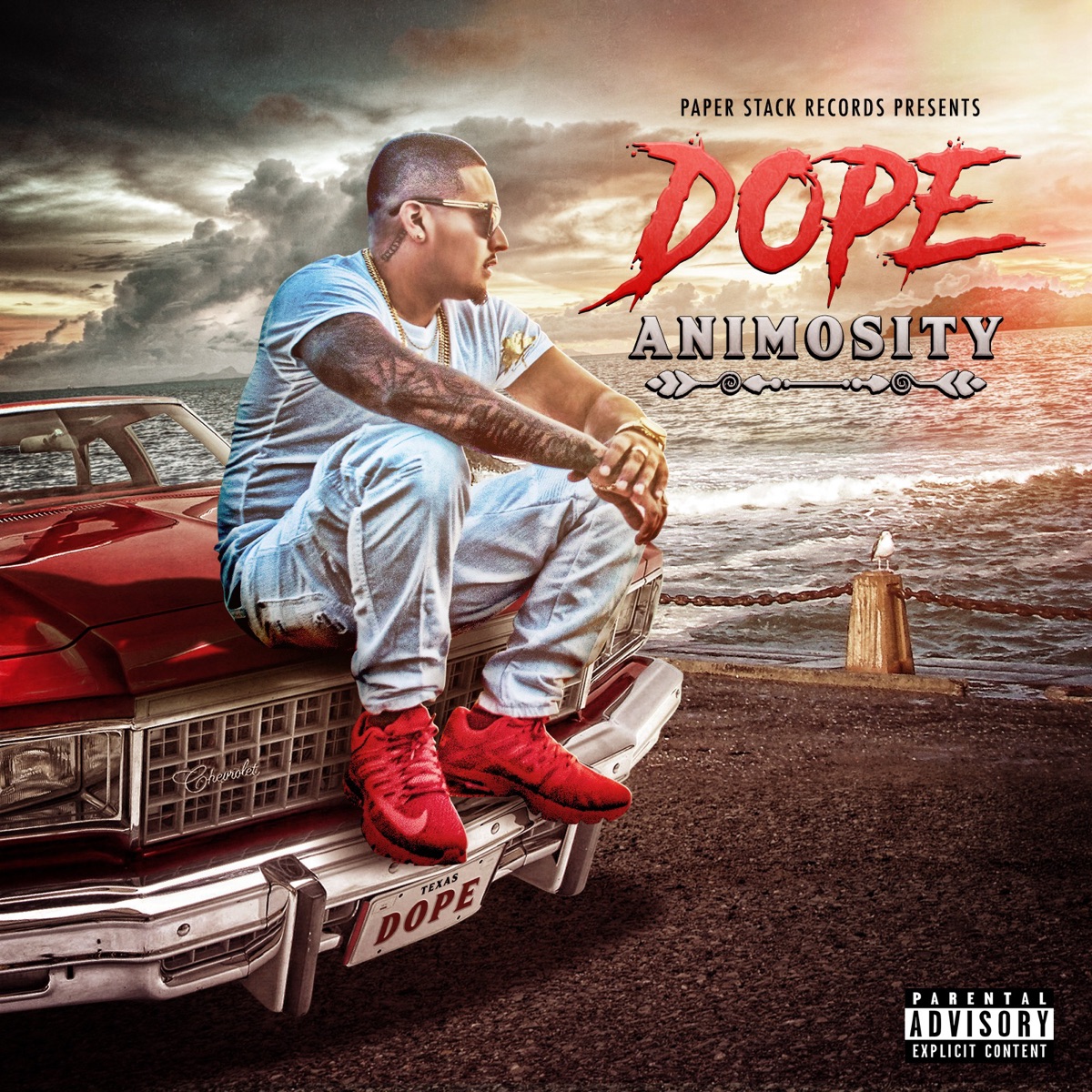 Animosity by Dope album cover