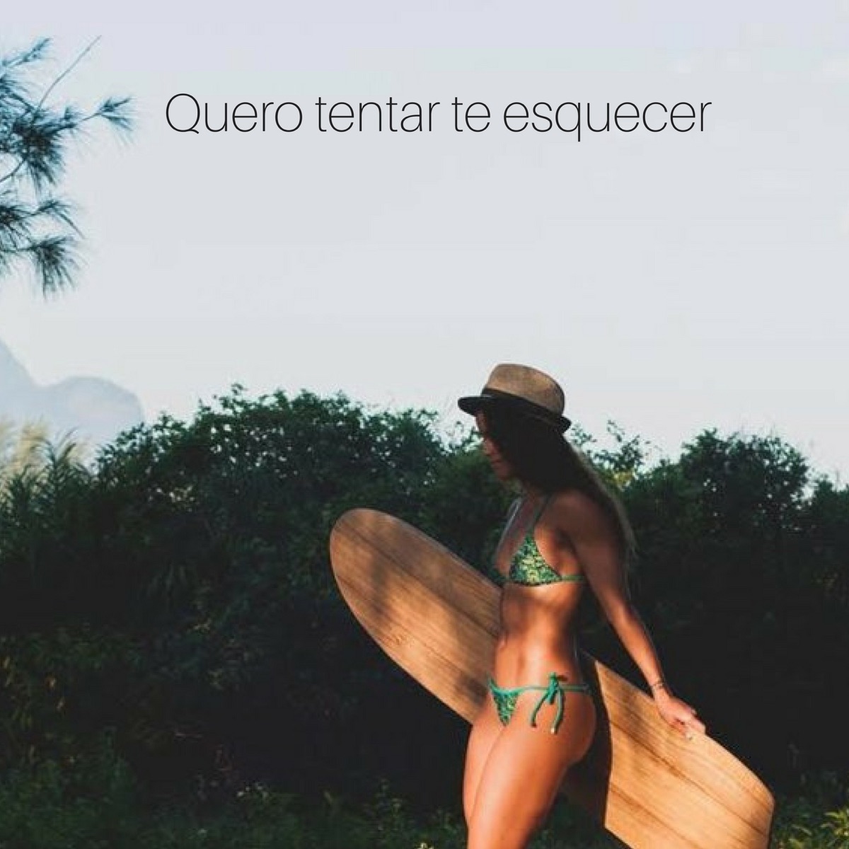 Quero Tentar Te Esquecer (feat. Vinicio Eduardo) - Single by Fabiano Nasi album cover