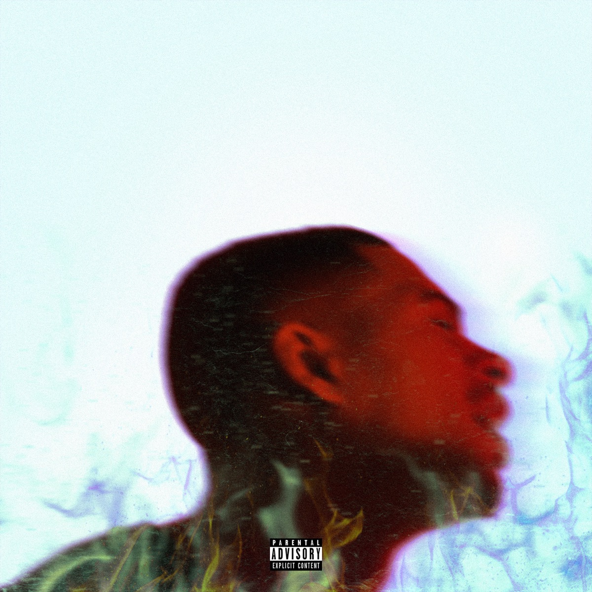 Platinum Fire (Deluxe) by Arin Ray album cover