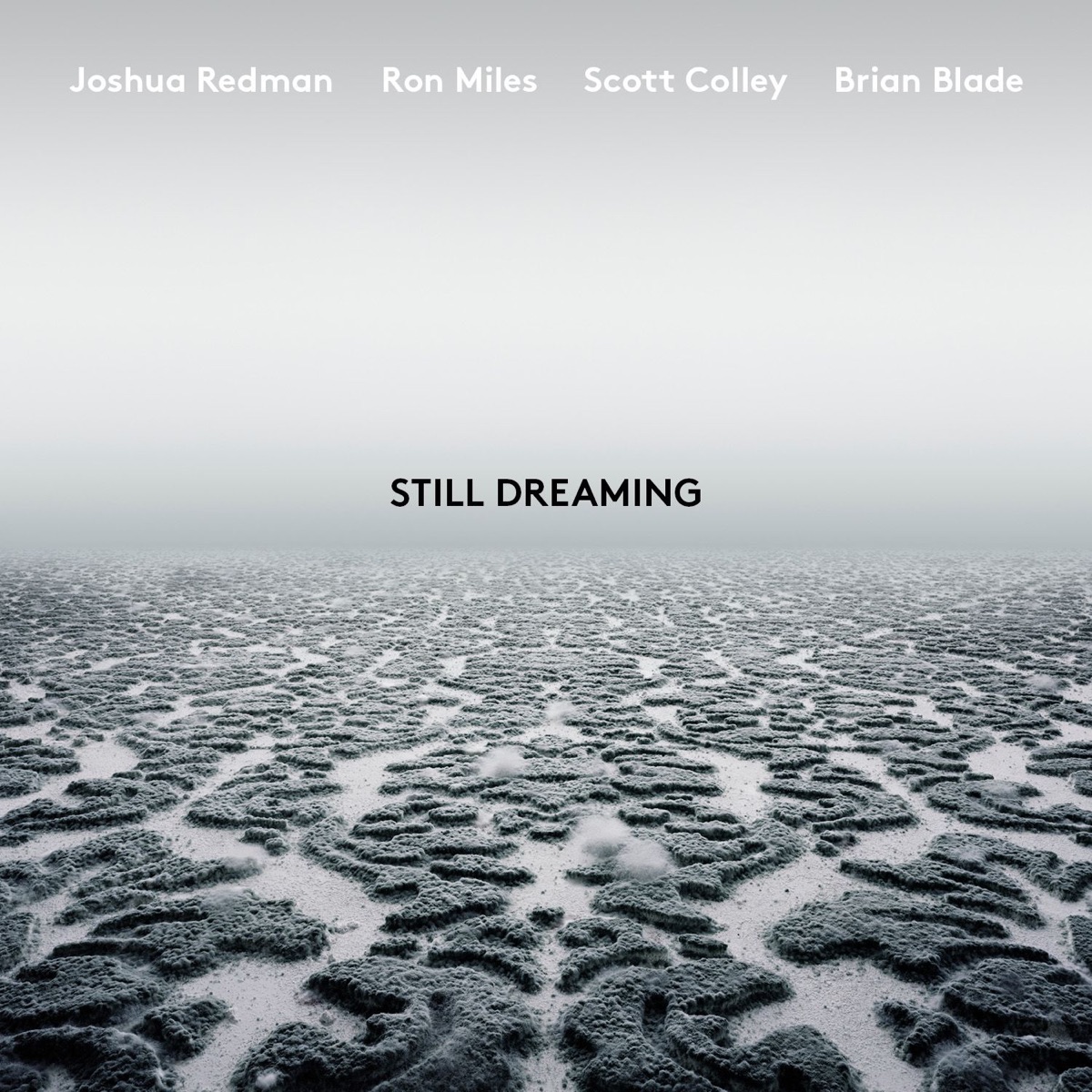 Still Dreaming (feat. Ron Miles, Scott Colley & Brian Blade) by Joshua Redman album cover