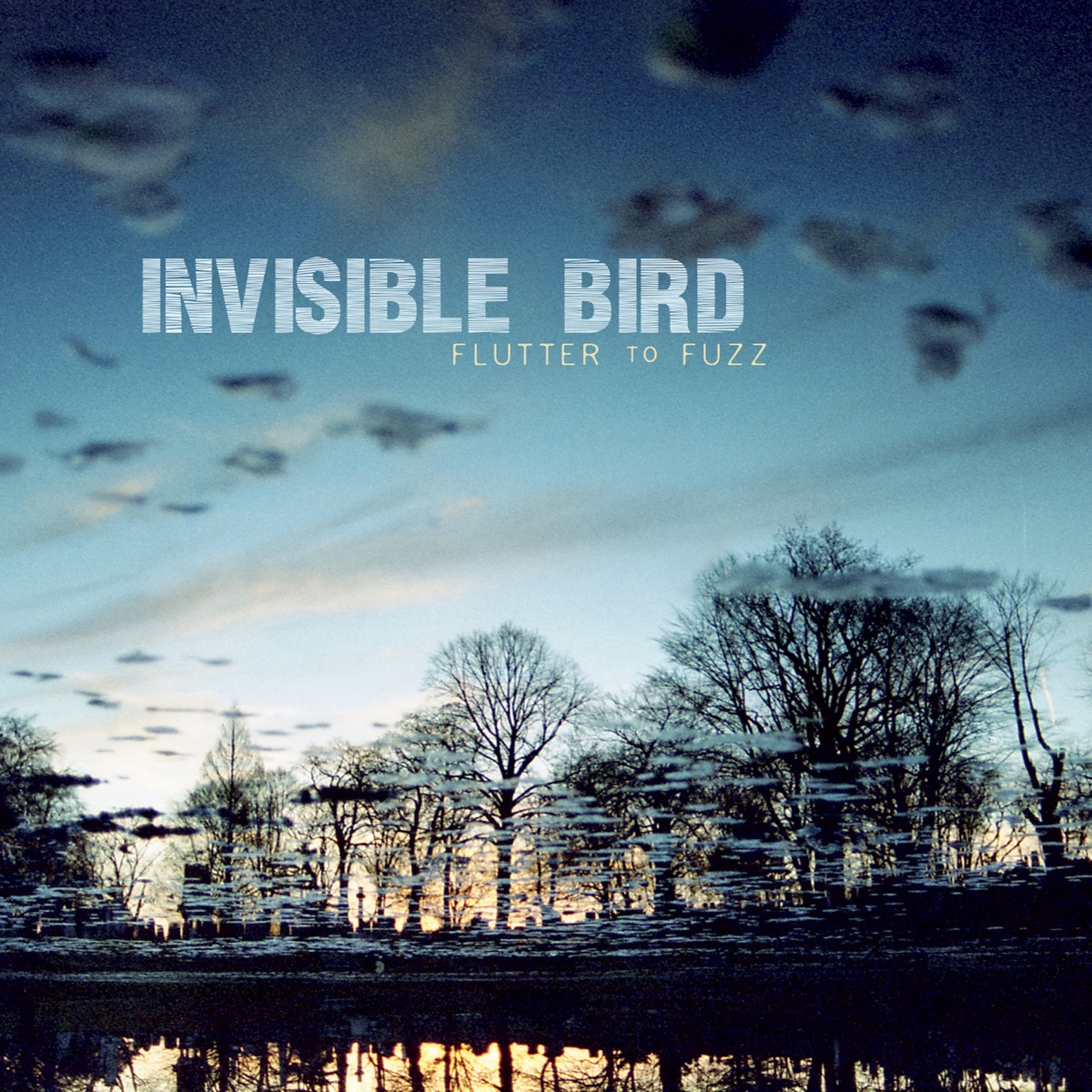 Flutter To Fuzz (feat. Scott Amendola, Dave Devine & Shane Endsley) by Invisible Bird album cover