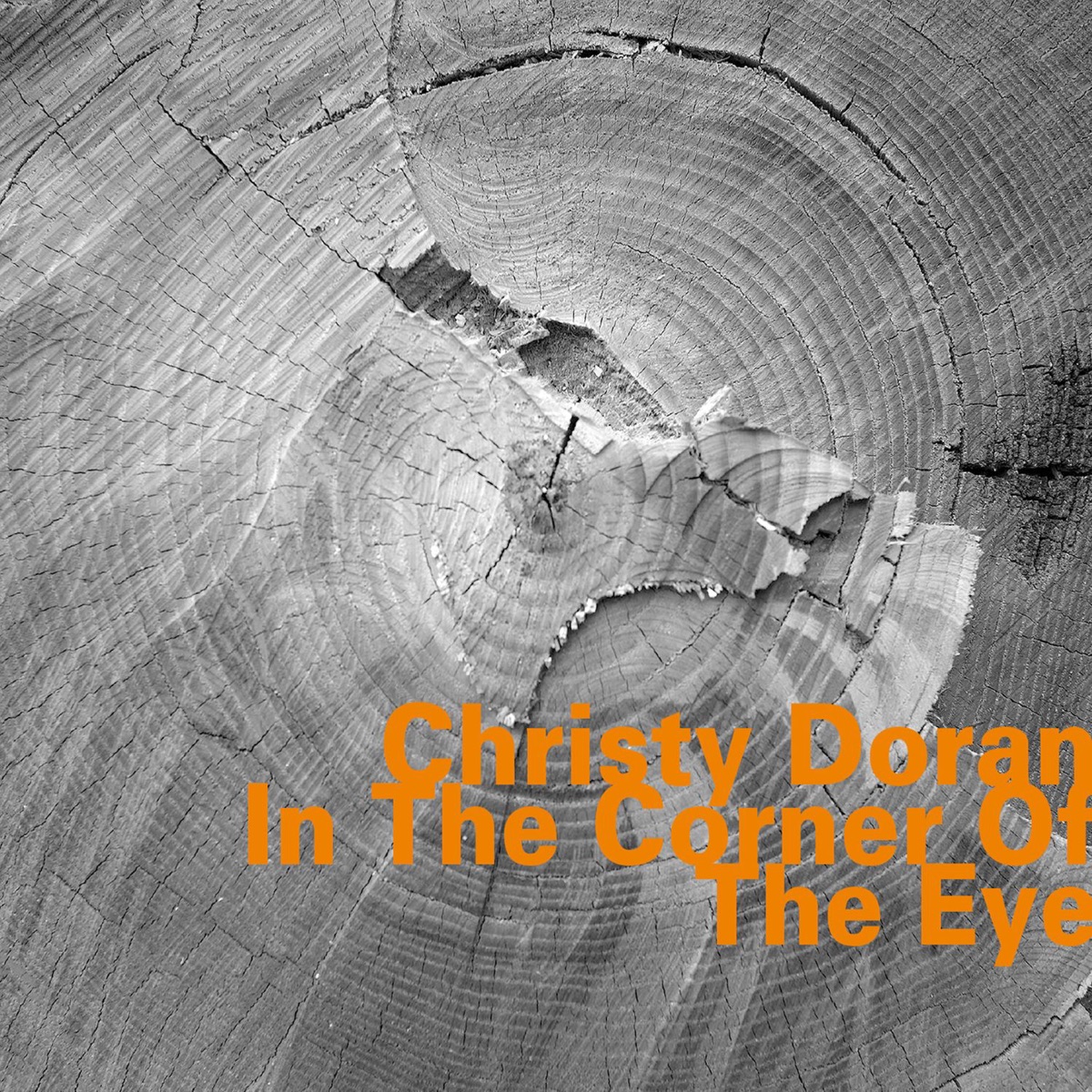 In the Corner of the Eye (feat. Ray Anderson, Marty Ehrlich, Urs Leimgruber & Hank Roberts) by Christy Doran album cover