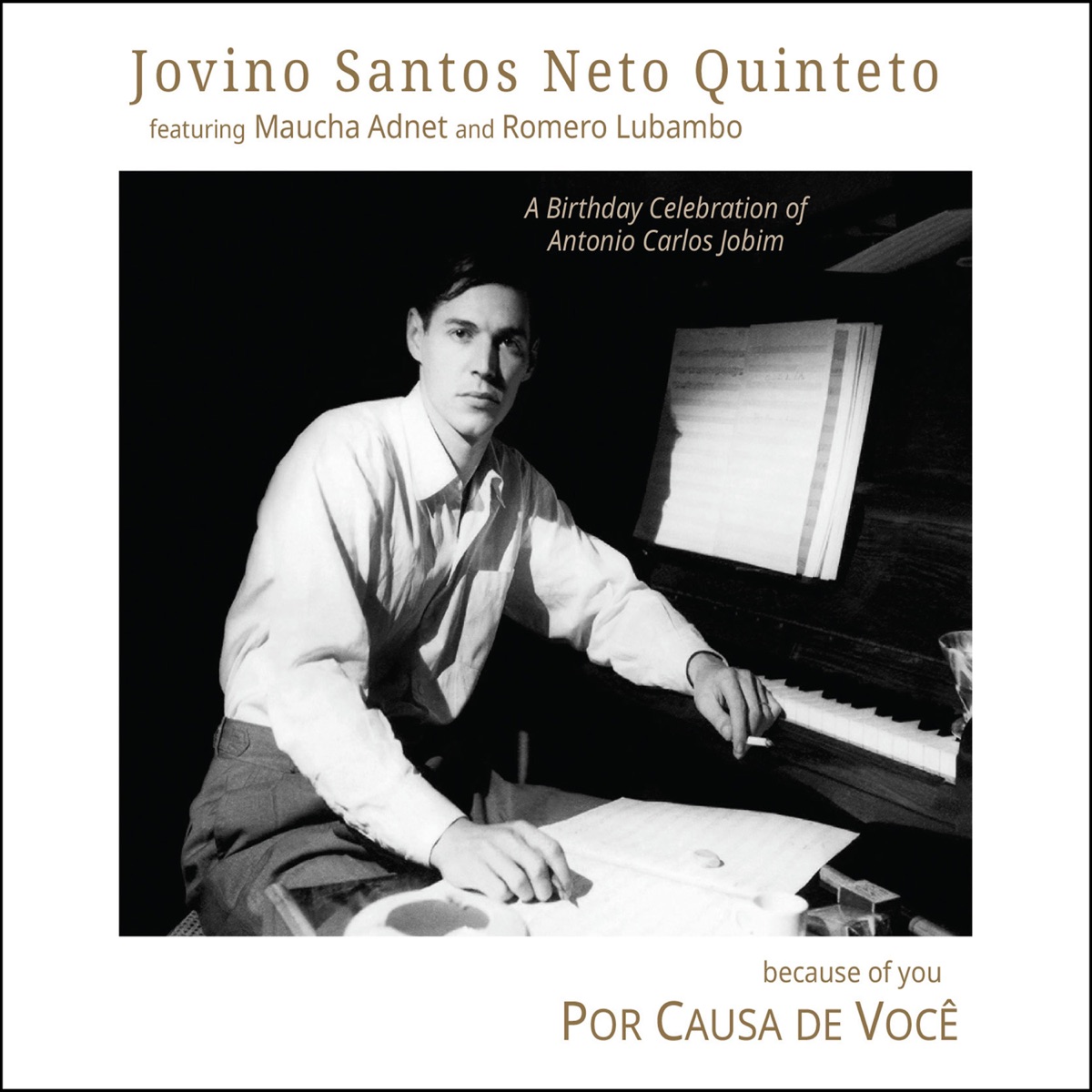 Por Causa De Você (feat. Maucha Adnet & Romero Lubambo) by Jovino Santos Neto album cover