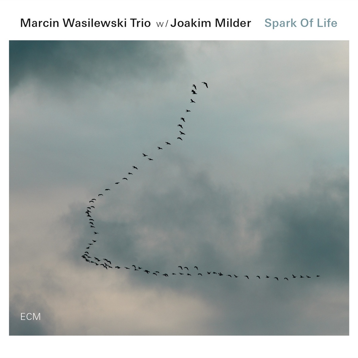 Spark of Life by Marcin Wasilewski Trio & Joakim Milder album cover