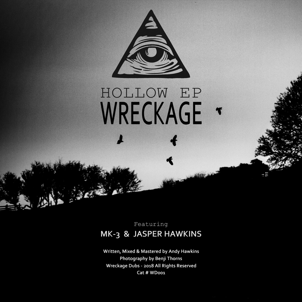 Hollow - Single by Wreckage album cover