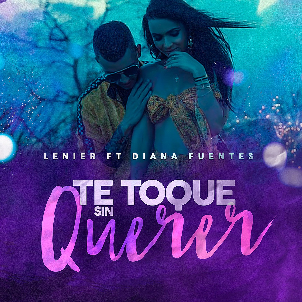 Te Toque Sin Querer - Single by Lenier & Diana Fuentes album cover