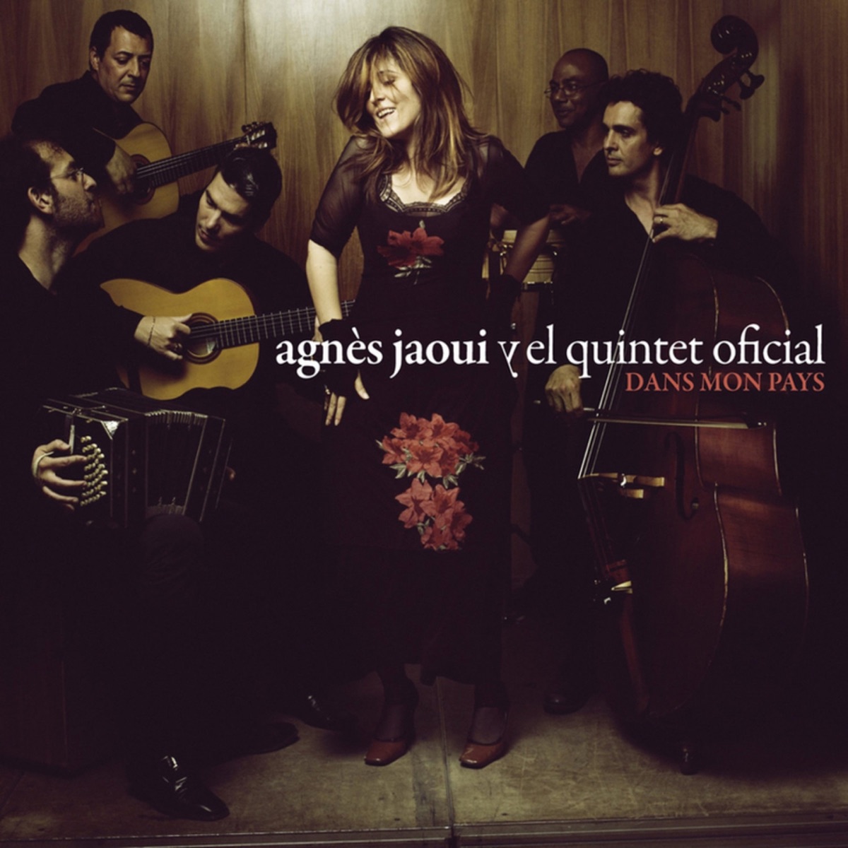 Dans Mon Pays by Agnès Jaoui album cover