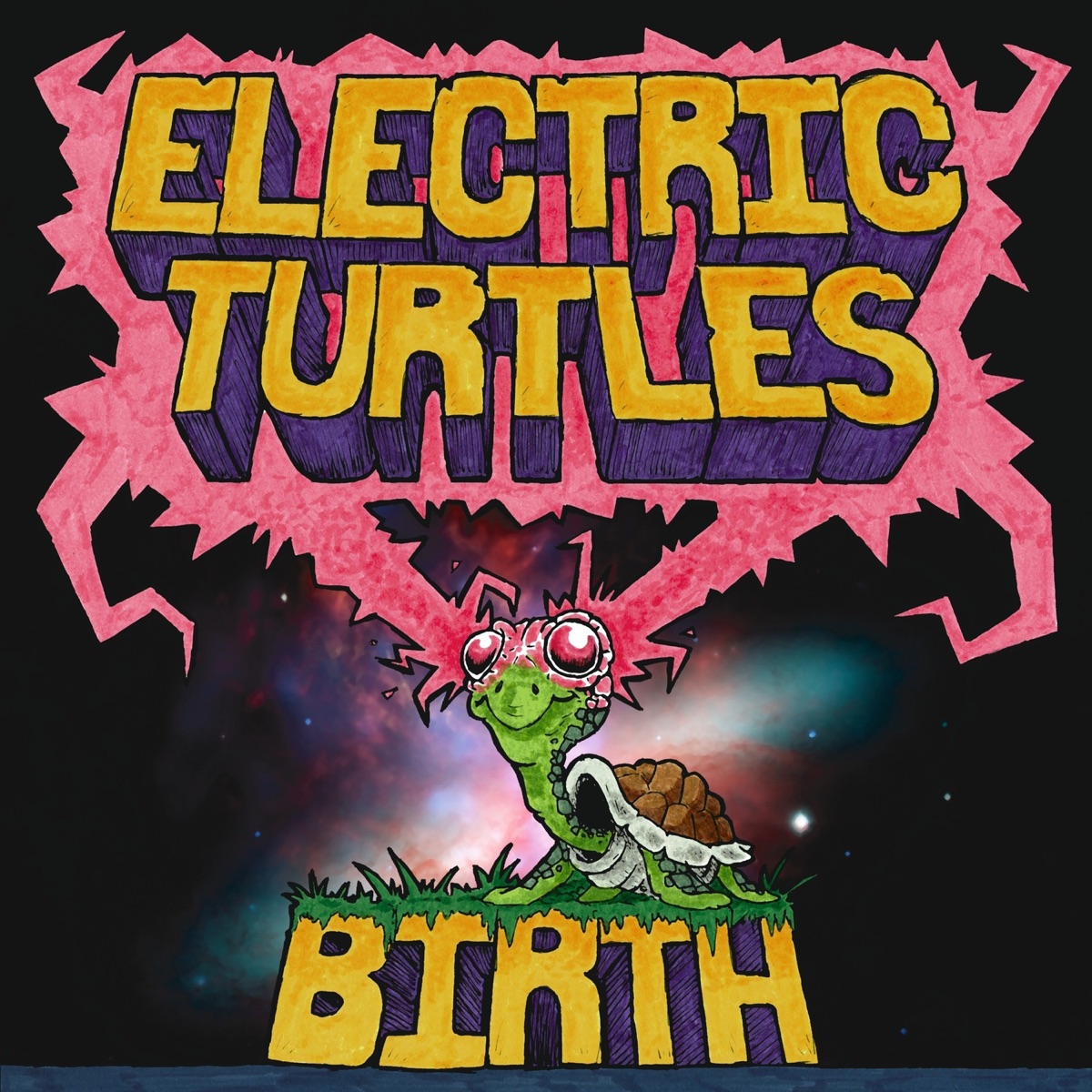 Birth by Electric Turtles album cover