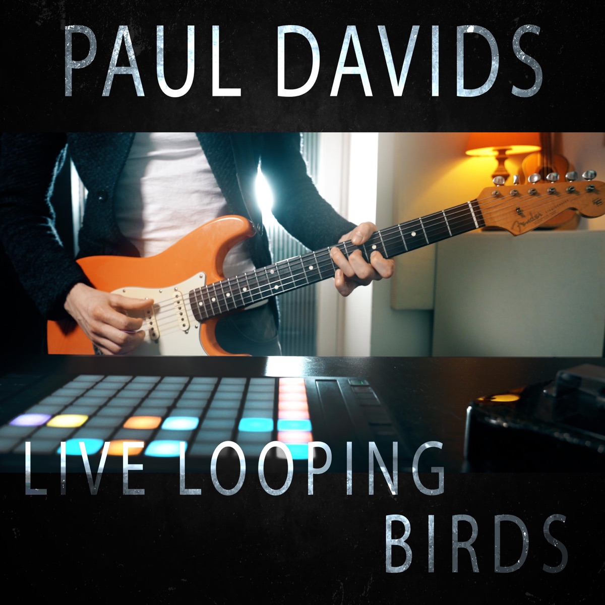 Birds (Live Looping) - Single by Paul Davids album cover