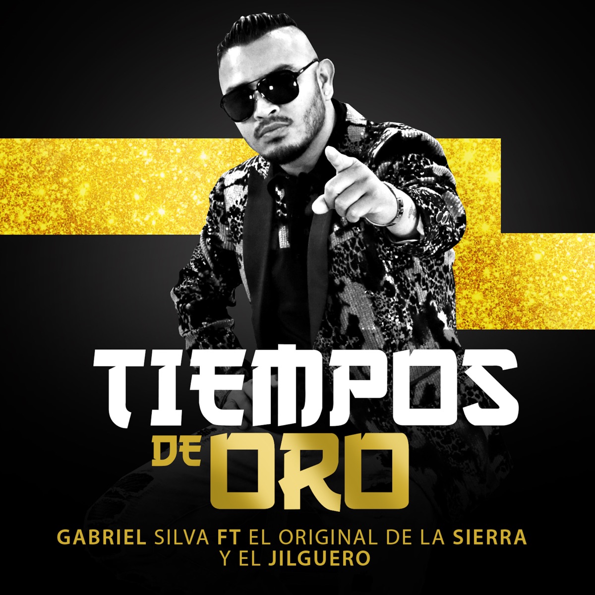 Tiempos De Oro (feat. El Jilguero & El Original De La Sierra) - Single by Gabriel Silva album cover