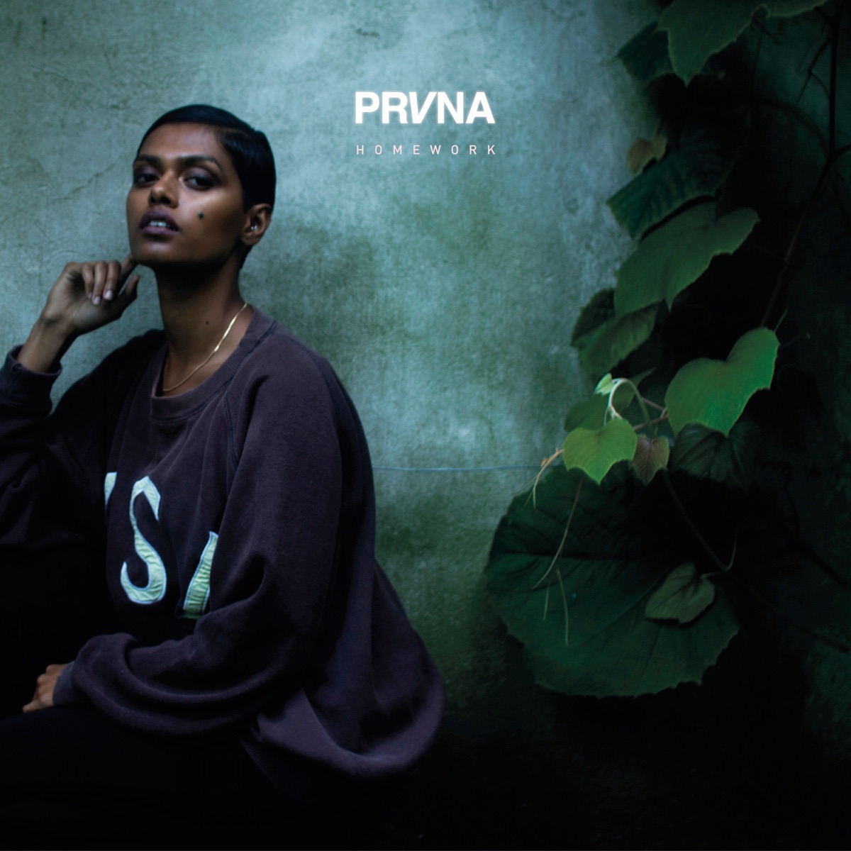 Homework - Single by PRVNA album cover