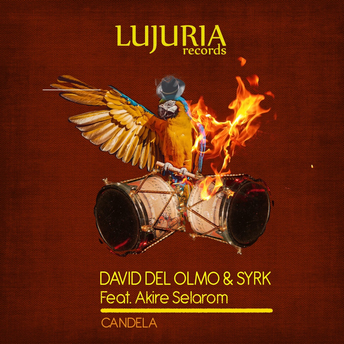 Candela (feat. Akire Selarom) - Single by Syrk, David Del Olmo & Akire Selarom album cover