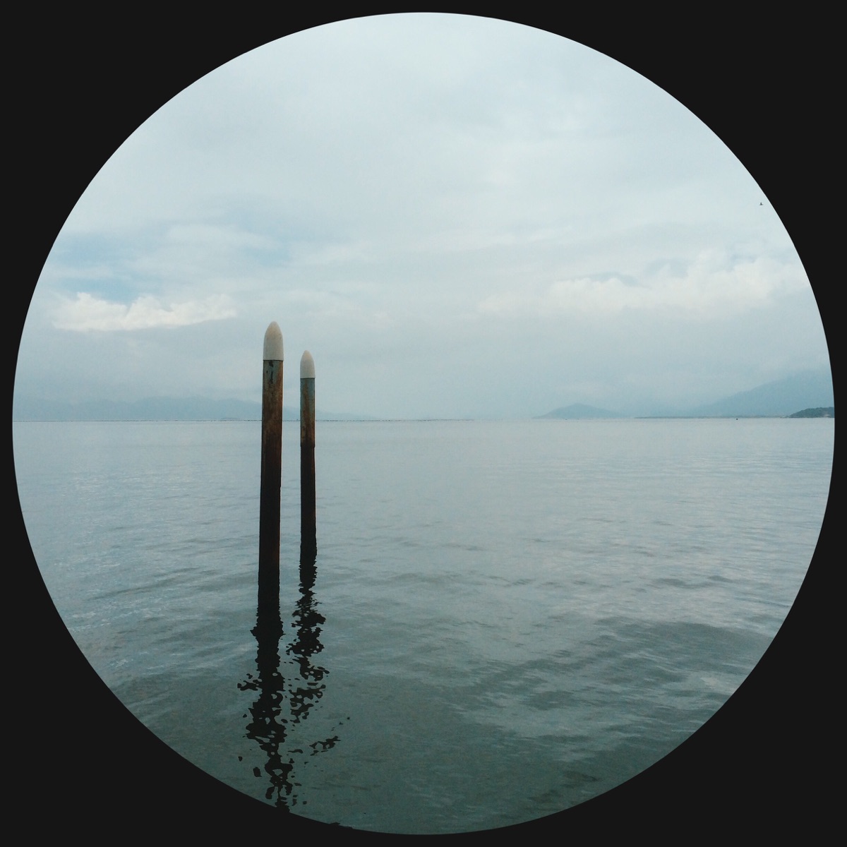 Friday Mornings - Single by Donk album cover