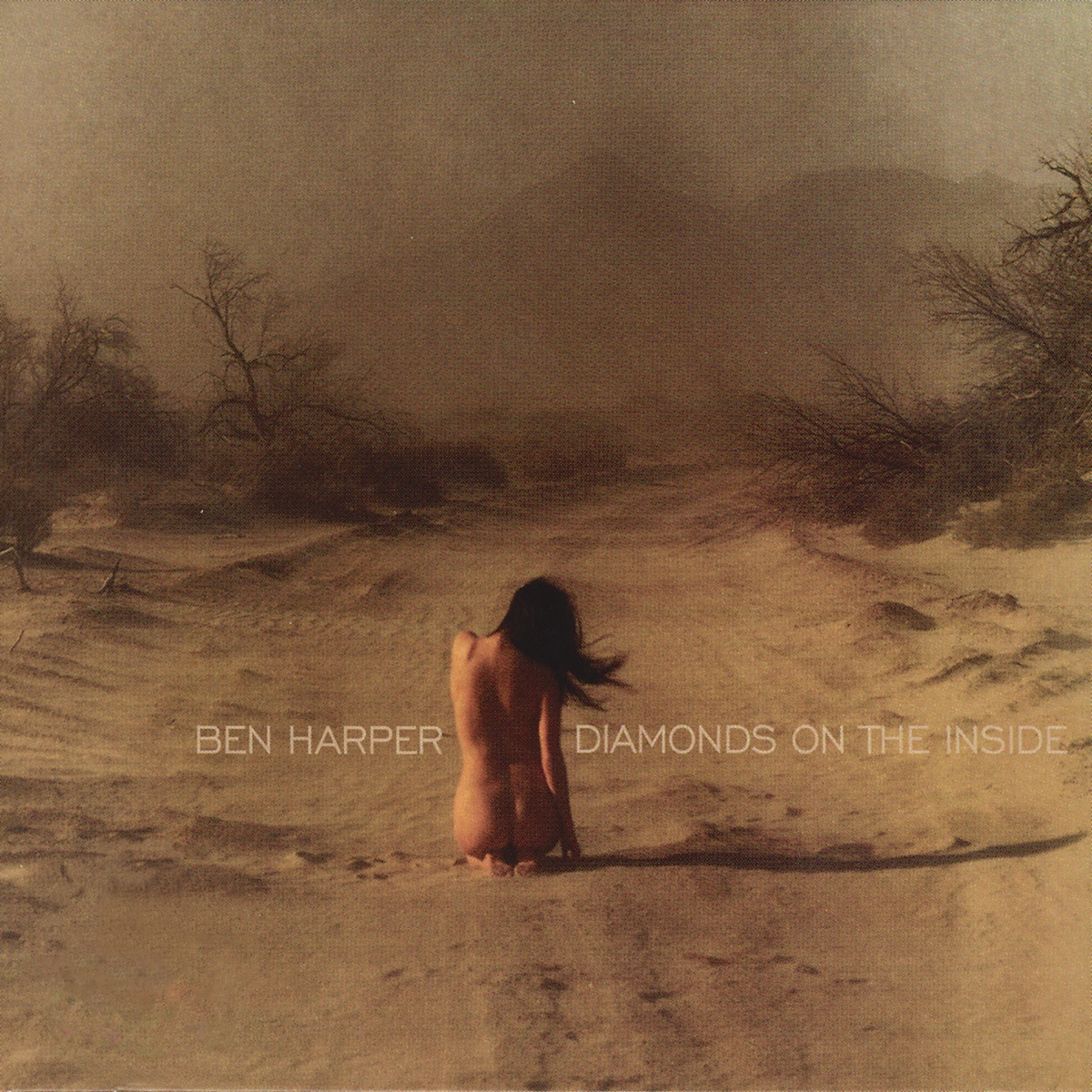 Diamonds on the Inside by Ben Harper album cover