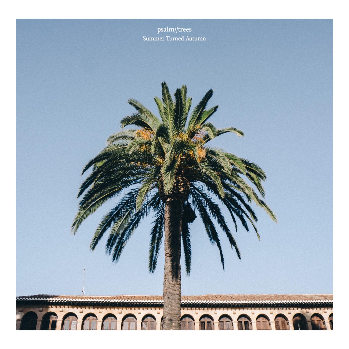 Autumn Turned Winter by Psalm Trees album cover