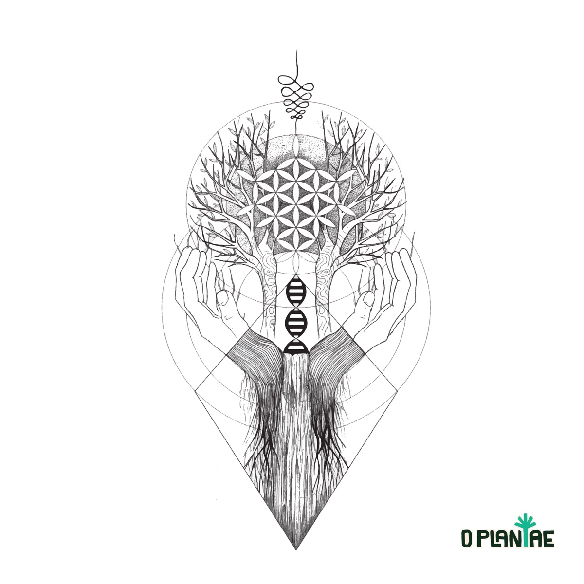 Eplantae - Single by O Plantae album cover