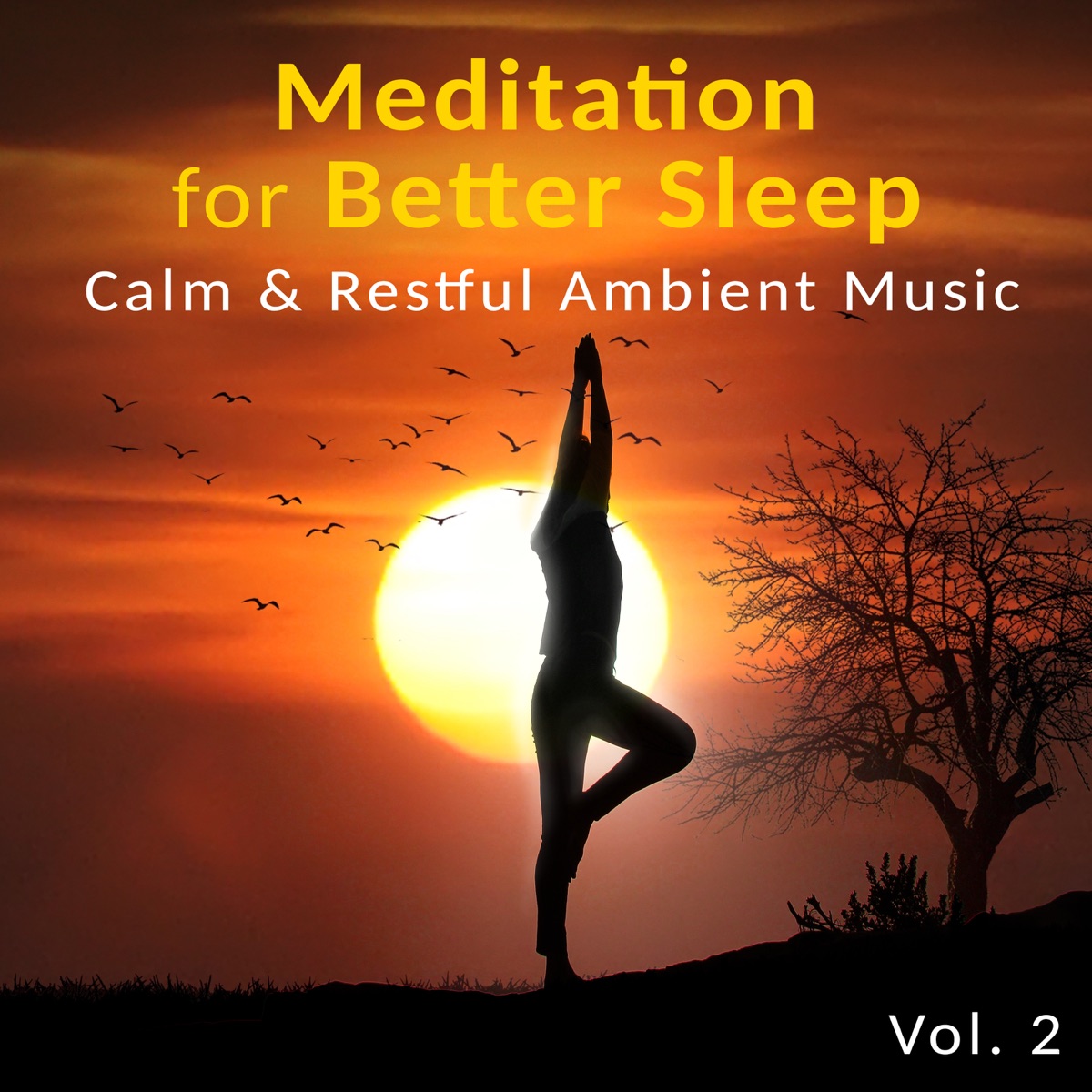 Meditation for Better Sleep Vol. 2: Calm & Restful Ambient Music – Natural Ocean, Piano, Zen Lullabies to Soothe Soul, Cure Insomnia by Peaceful Sleep Music Collection album cover