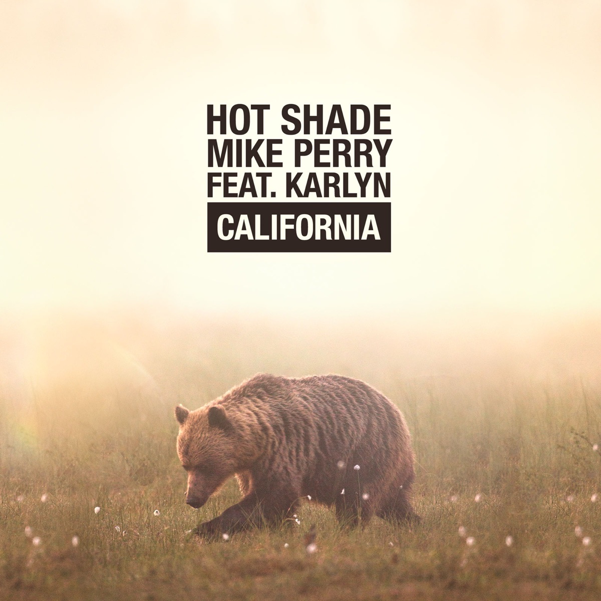 California (feat. Karlyn) - Single by Hot Shade & Mike Perry album cover