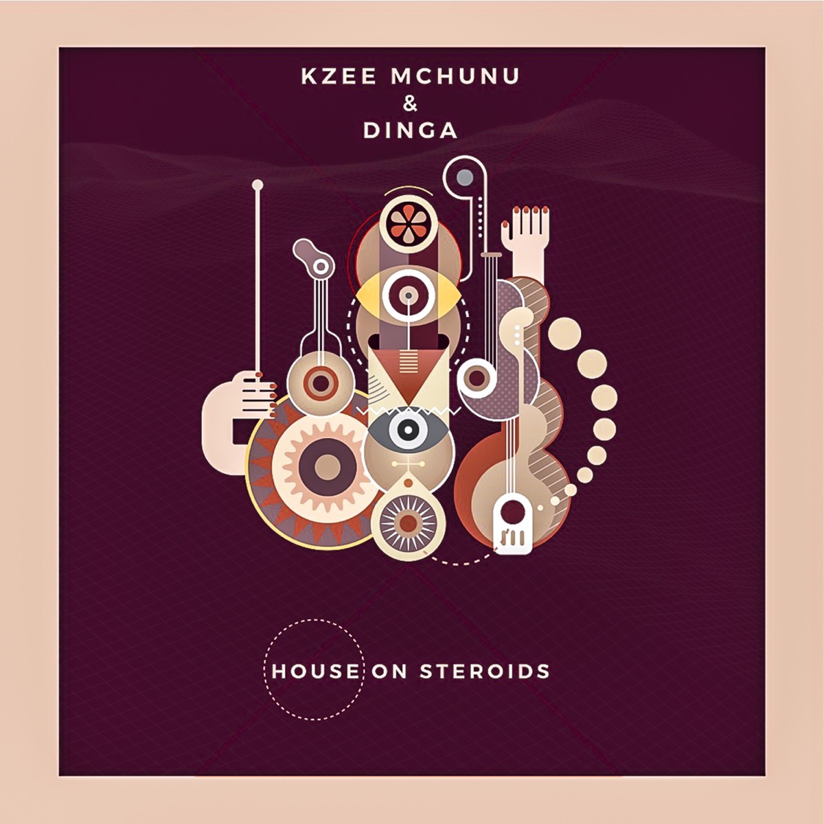 House on Steroids by Kzee Mchunu & Dinga album cover