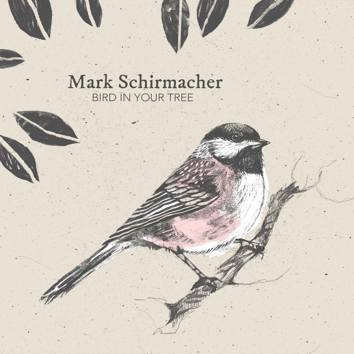 Bird In Your Tree by Mark Schirmacher album cover