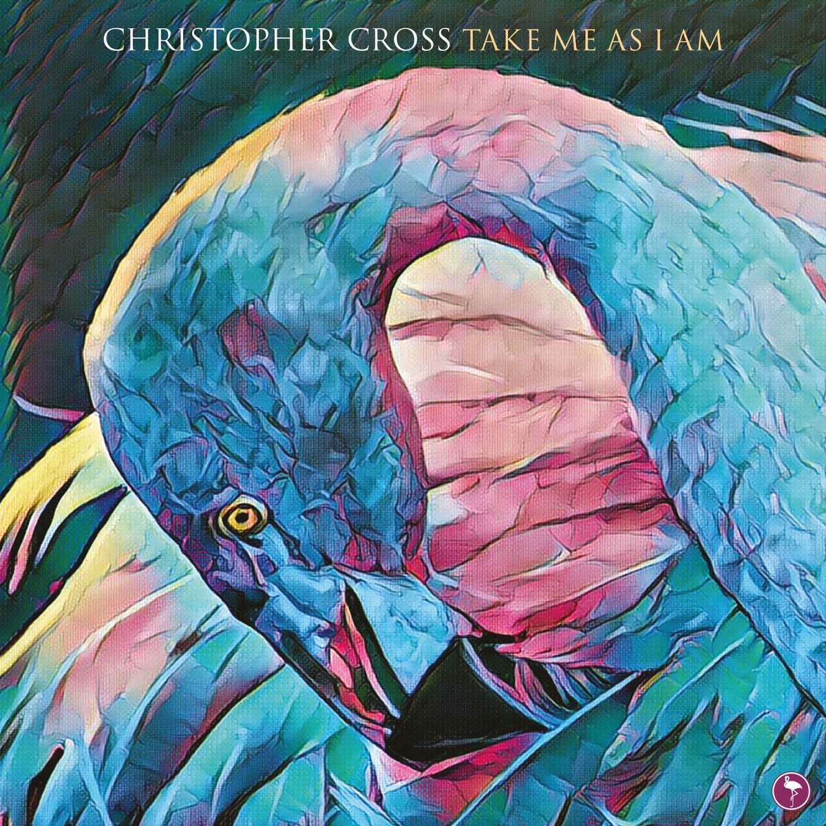Take Me As I Am by Christopher Cross album cover